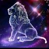 amir.cheema68