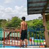 dhil952