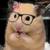 devy_ra1