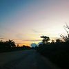 daniproplayerepep11