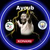 fodn_pes1
