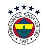 💛Fenerbahçe Tribun Video💙