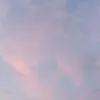 crazyokurka