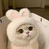 daisylveuuuu