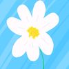 daisyblueskyy