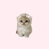 syllaa_15