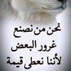 user7981612851754