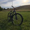 benl_21