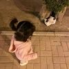 shahd.ldairy