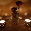 dania.jokhdar