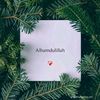 ameena.ameena20
