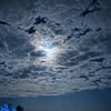 _alzahrani1