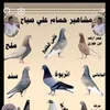 user4013418726325
