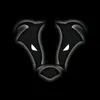 Tik tok badger
