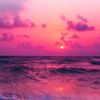 max_drazen23