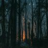 environment