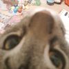 _titimeca_0173