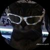 jordy.martinez44
