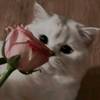 sumu_bbz19