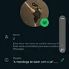 iguinhocapoeira316