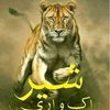 safdarhussain9373