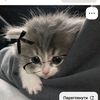 user3591147394541