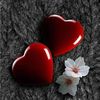 user23600724577471