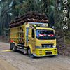 rendymdp6