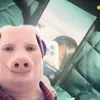 um_116210