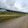 jagung_masakk