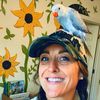 thepaintedbluebird