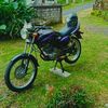 bintangoscar4