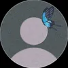 ixoii02