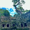 ta_phrom