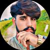 shahid.lashari517