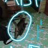 yudas_iska