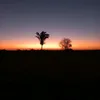 claudineiamorim987