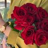 lilyalilya663