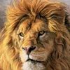 thabang5067
