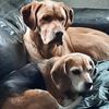 sophia.van.sevent