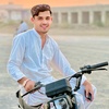 rehman_gull2