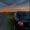 mol4nki11