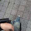 svett_butterfly0