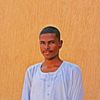 aldrag77