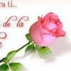 sandra.cardona48