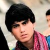 hassansha292