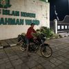 tiger.oneng