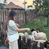 Hiền Lê 🍐