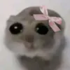 yo78_67