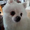 arthur_2258